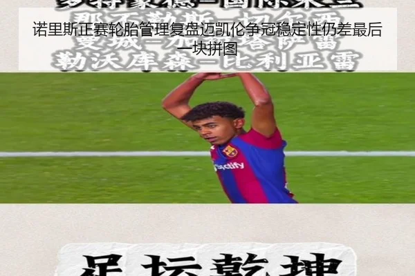 诺里斯正赛轮胎管理复盘迈凯伦争冠稳定性仍差最后一块拼图